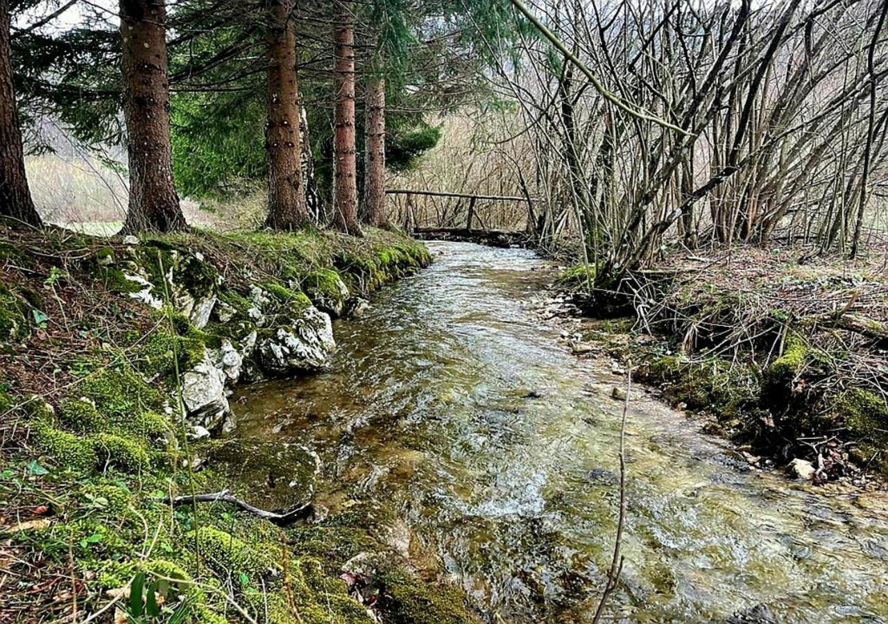 Andjelija