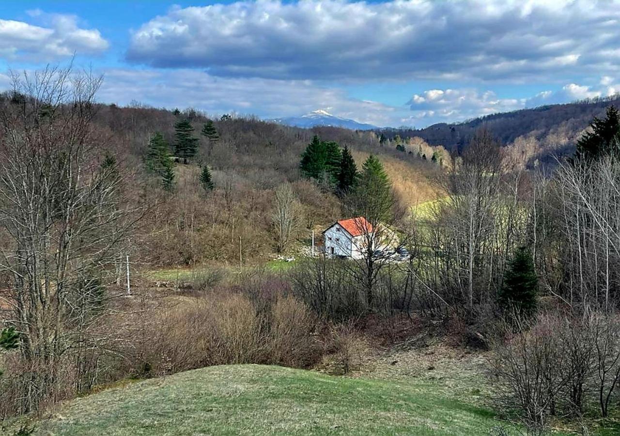 Andjelija *