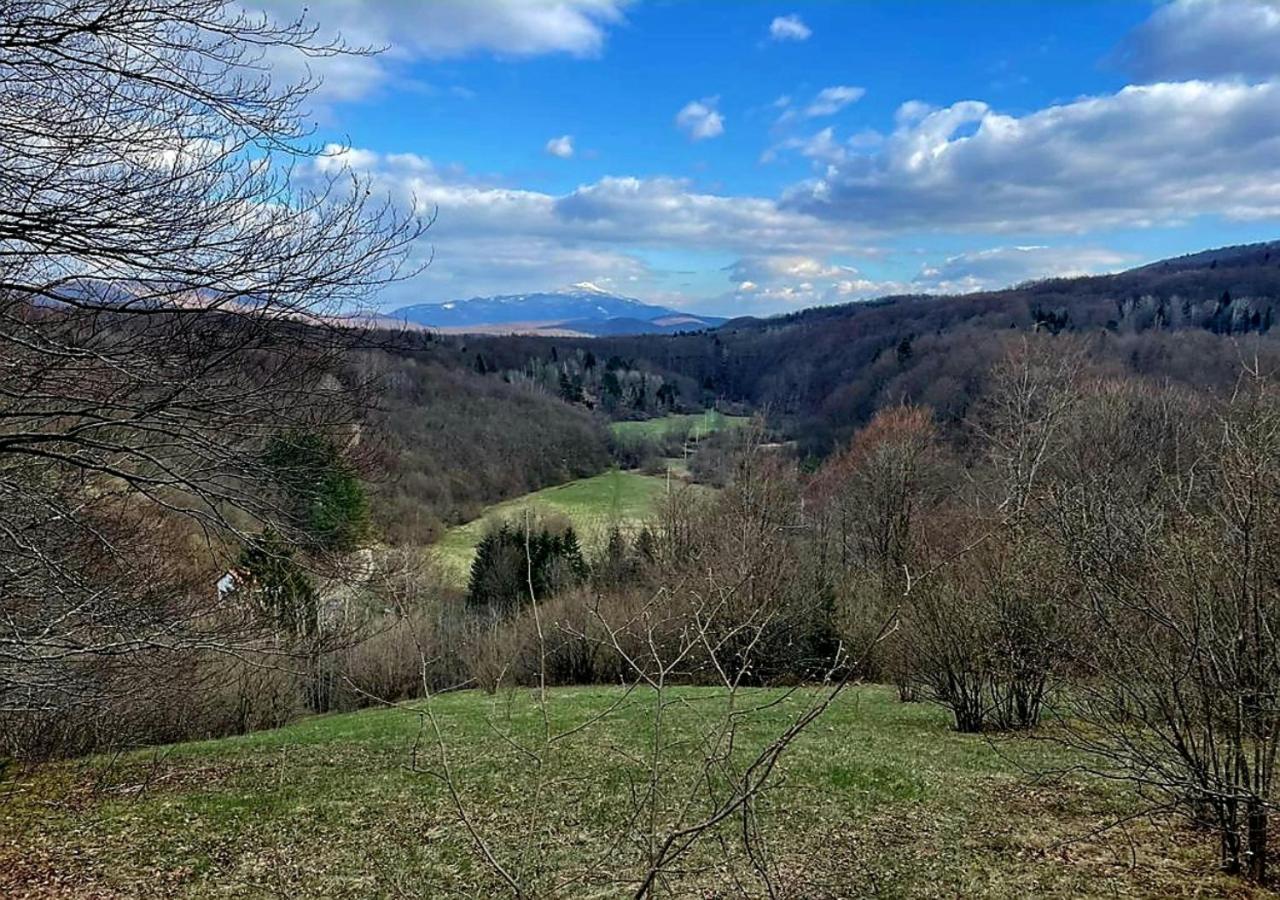 Andjelija Apartamento
