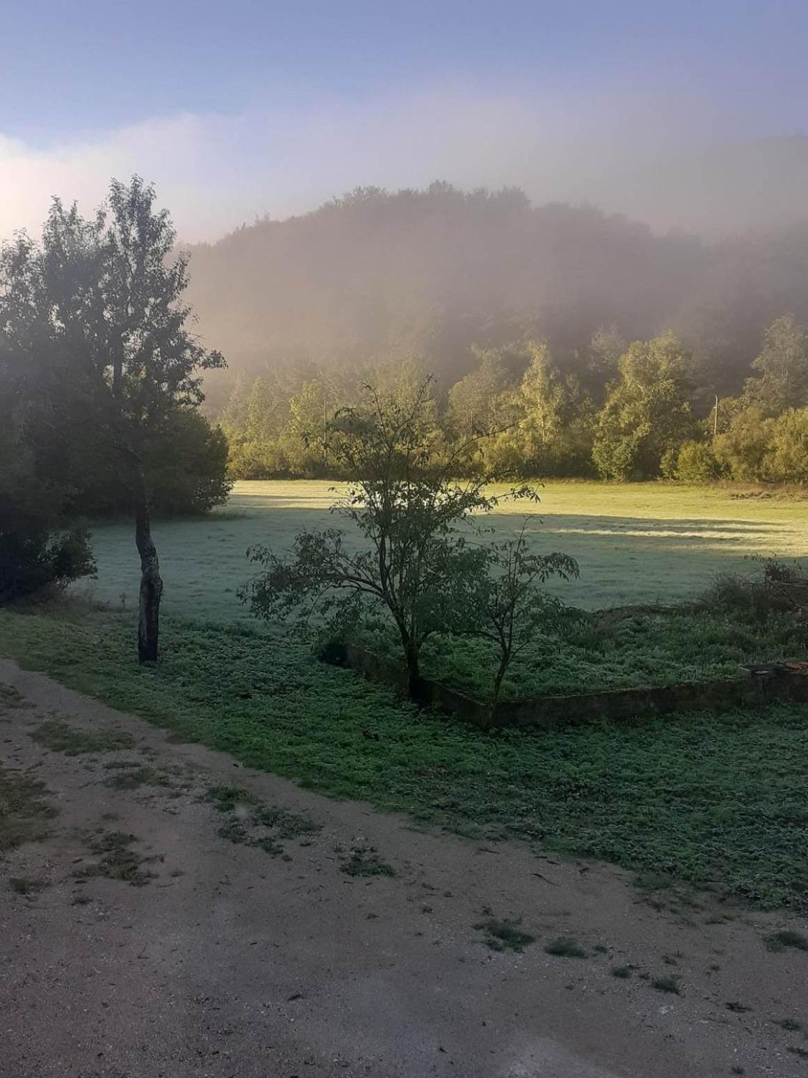 Andjelija *